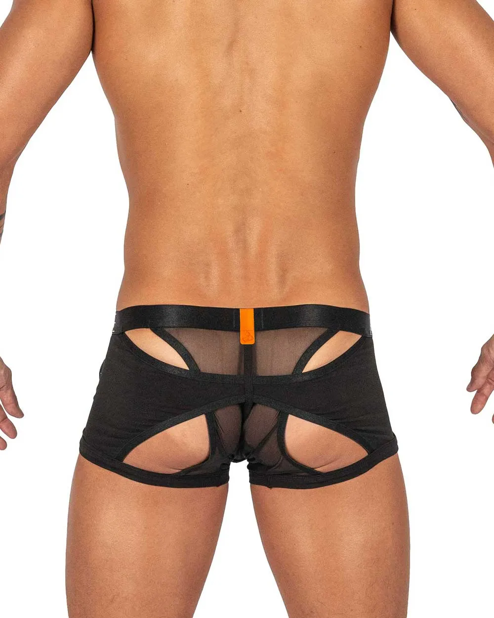 Boxer court Alpha Harness Black 4415