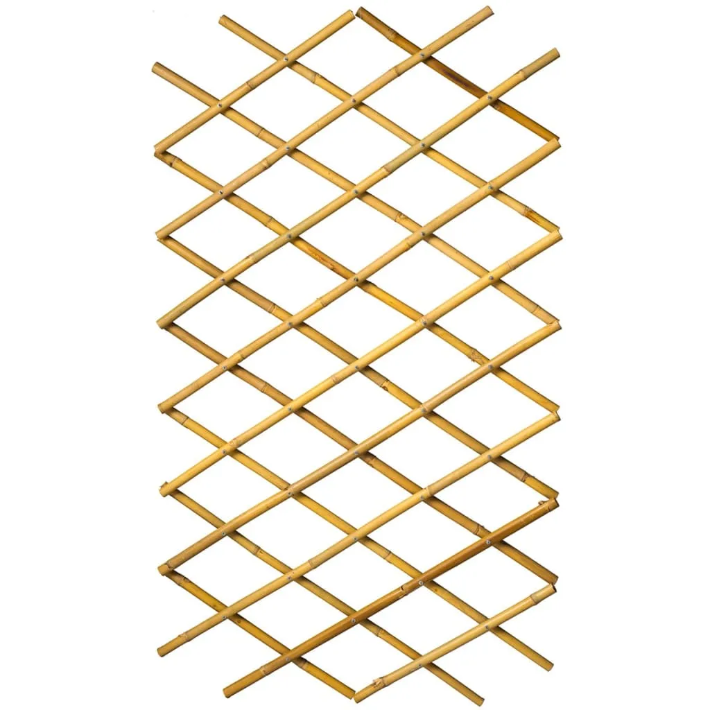 Nature Garden Trellis 70x180 cm Bamboo 6040721